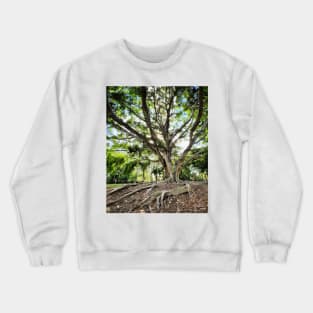 Mangrove Crewneck Sweatshirt